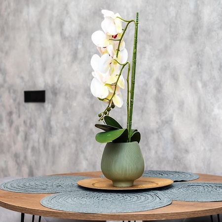 אליקאנטה Apartamento Noguera Loft "B" מראה חיצוני תמונה